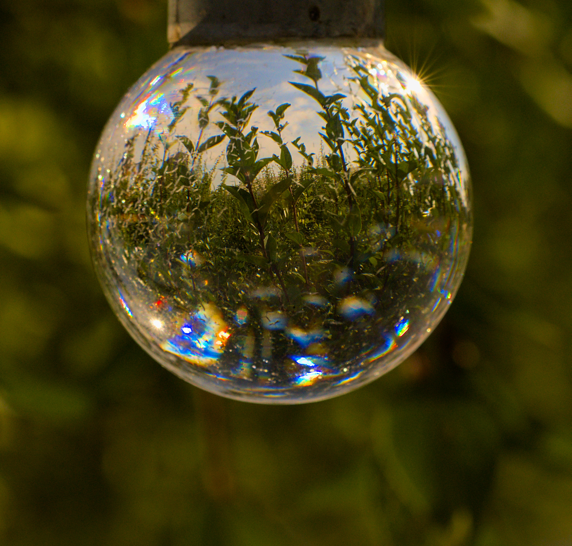 Photographie